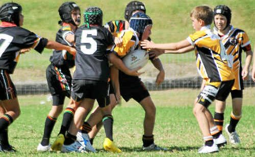 Primary School rugby league teams will take to Rex Hardaker Oval today for the Schubert Sevens Shield qualifying round. Primary School rugby league teams will take to Rex Hardaker Oval today for the Schubert Sevens Shield qualifying round.